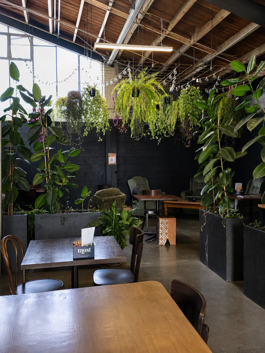 Tables and hanging plants inside The Daily on Suffolk